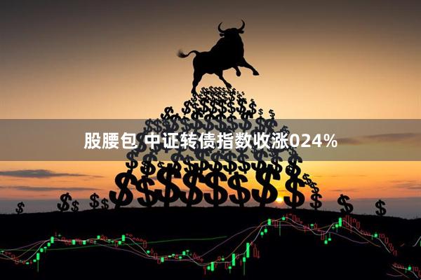 股腰包 中证转债指数收涨024%